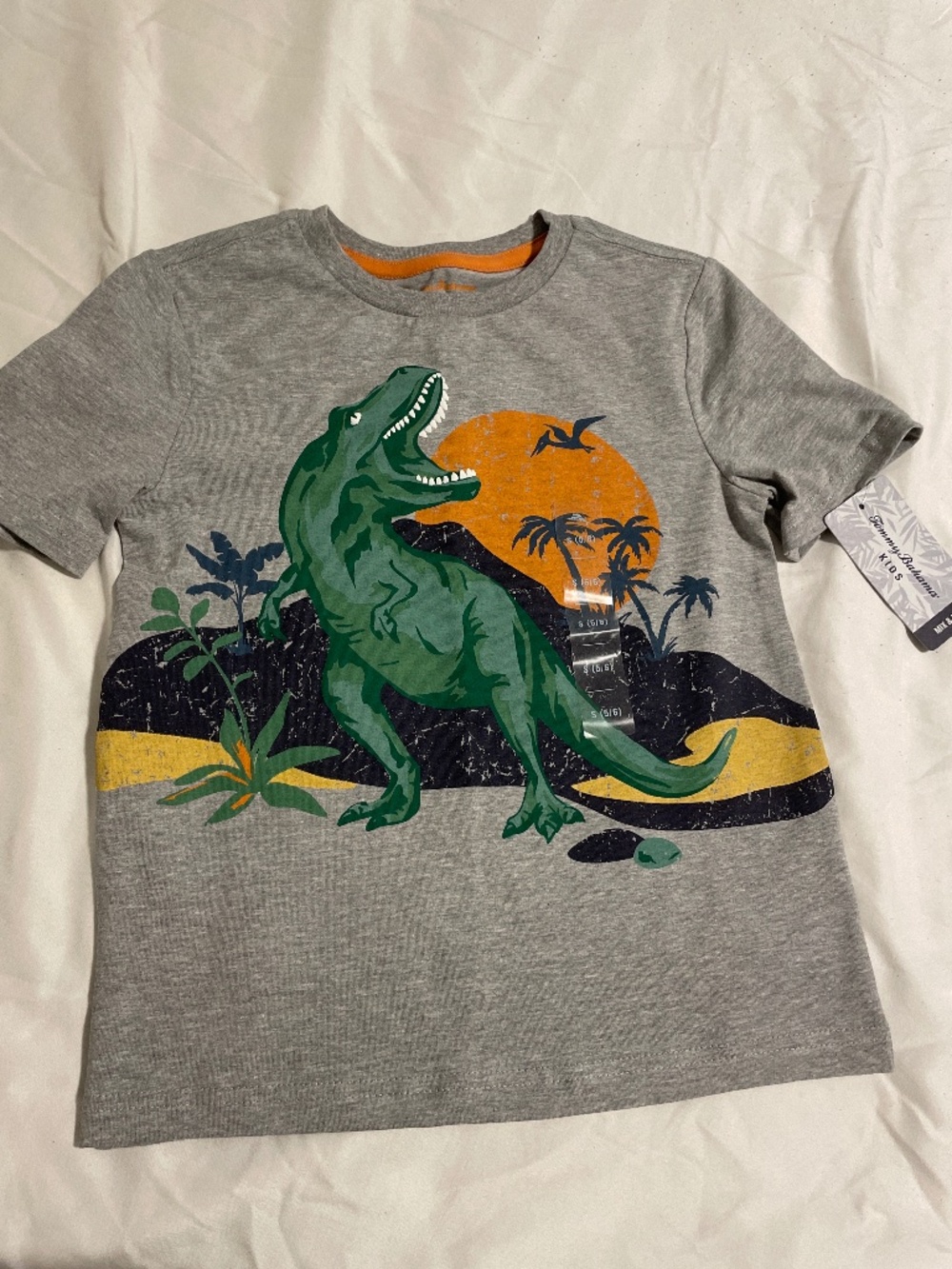 kids dinosaur tshirt